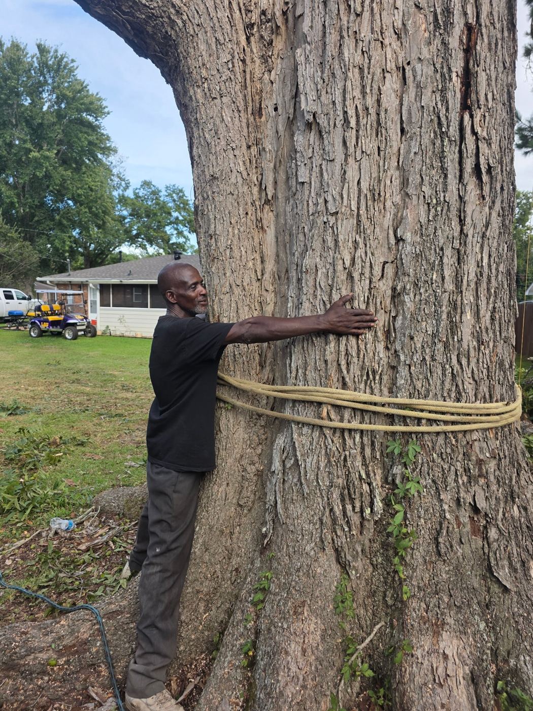 Large tree being removed by PLM Stump Grinding in Summit, MS